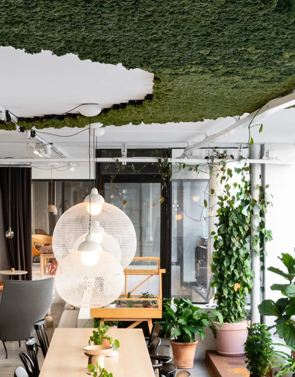 akustična zelena stena biofilia mosspanel