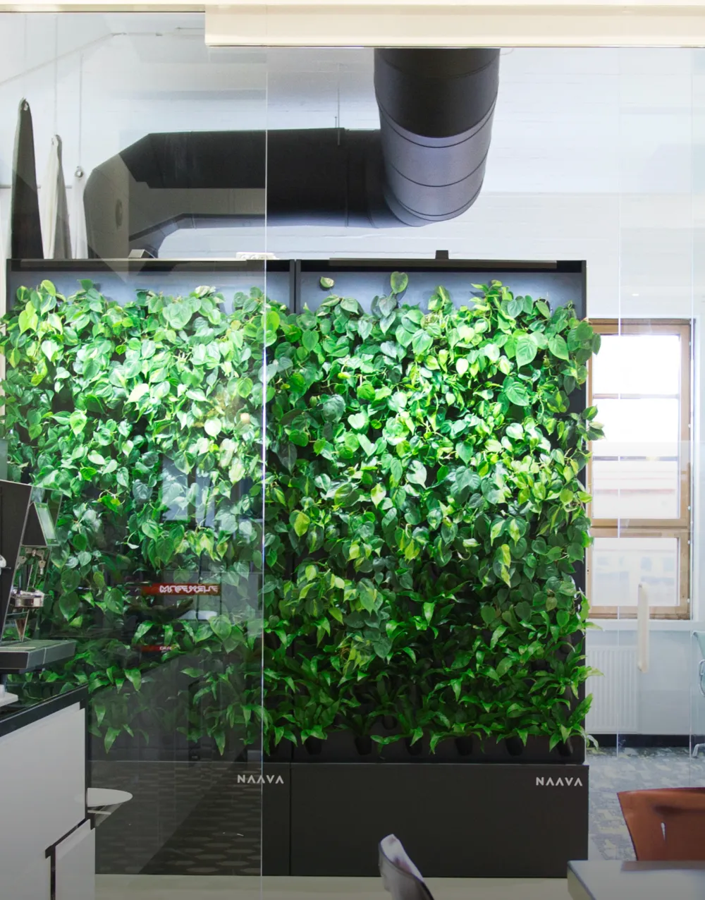 akustična zelena stena biofilia naava