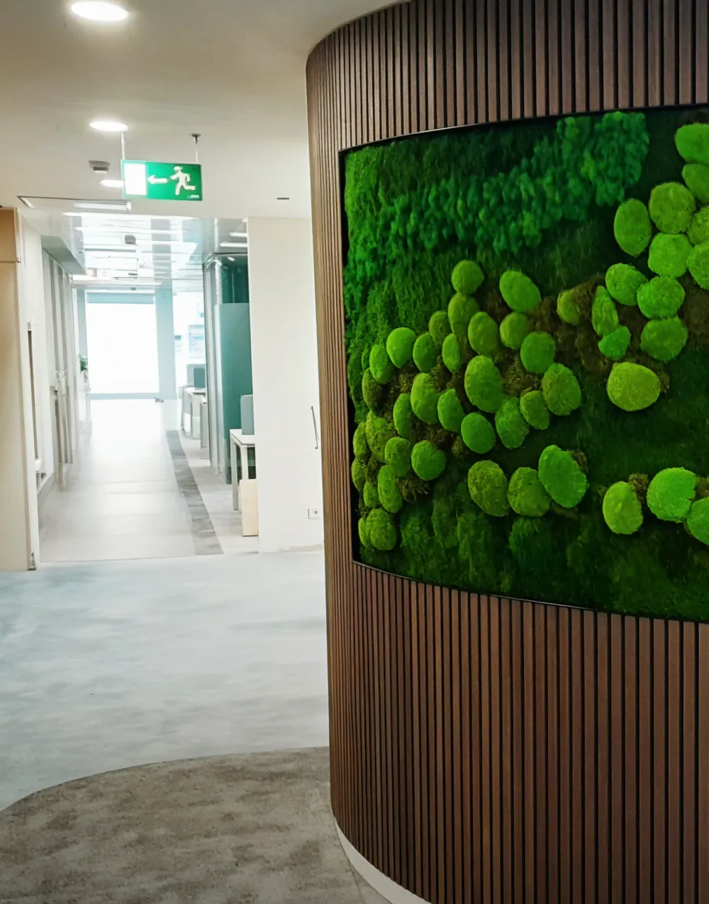 akustični panel wood gozdni vzorec